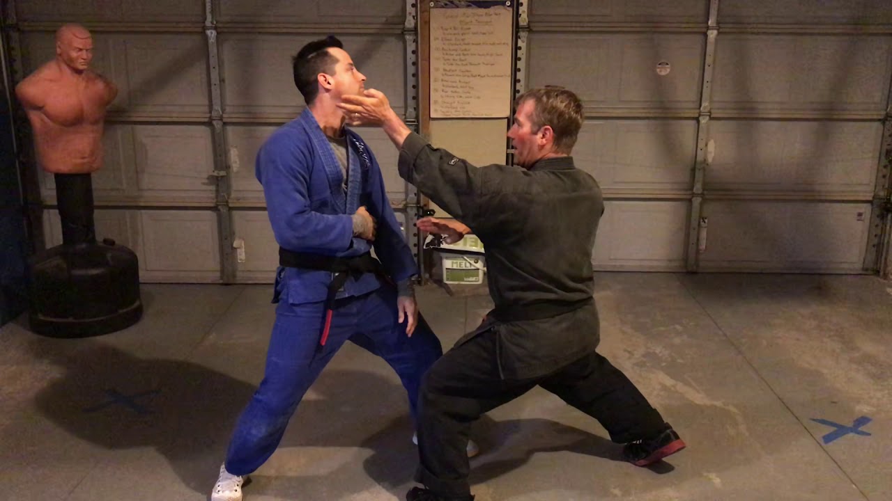 KENPO Orange Belt Freestyle Techniques - Jamie Seabrook