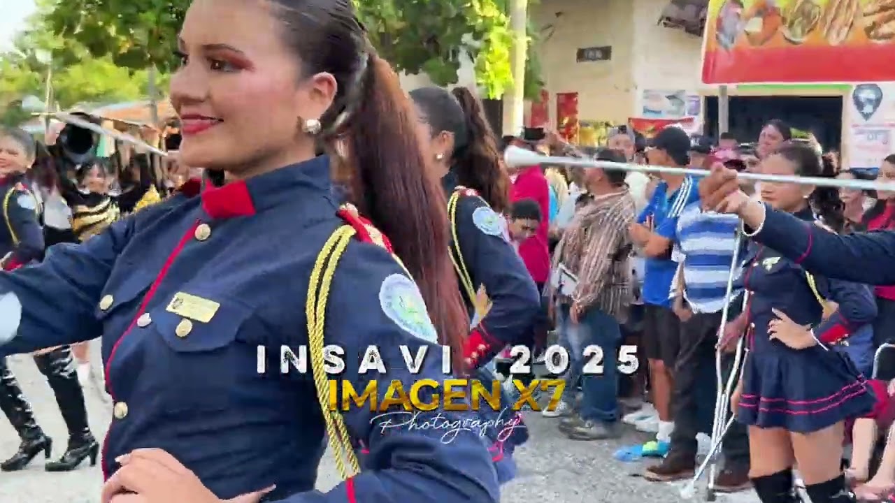 INSAVI 2025 // presentación 