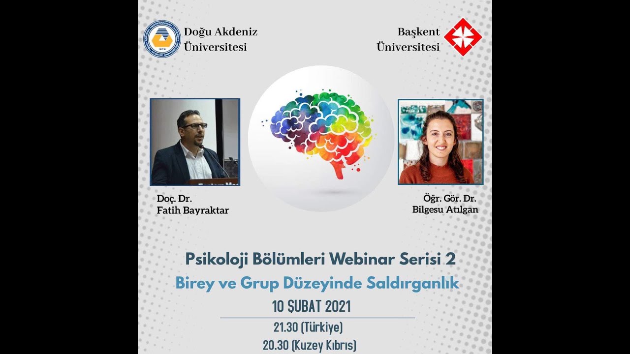 Birey ve Grup Düzeyinde Saldırganlık