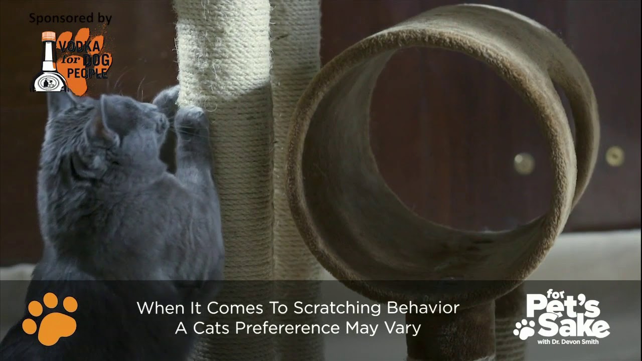 For Pet's Sake: Tips for Keeping Cats' Claws Sharp