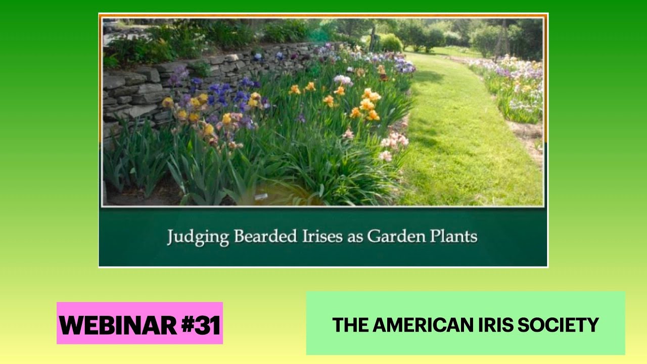 Webinar #31 “Judging Bearded Irises as Garden Plants