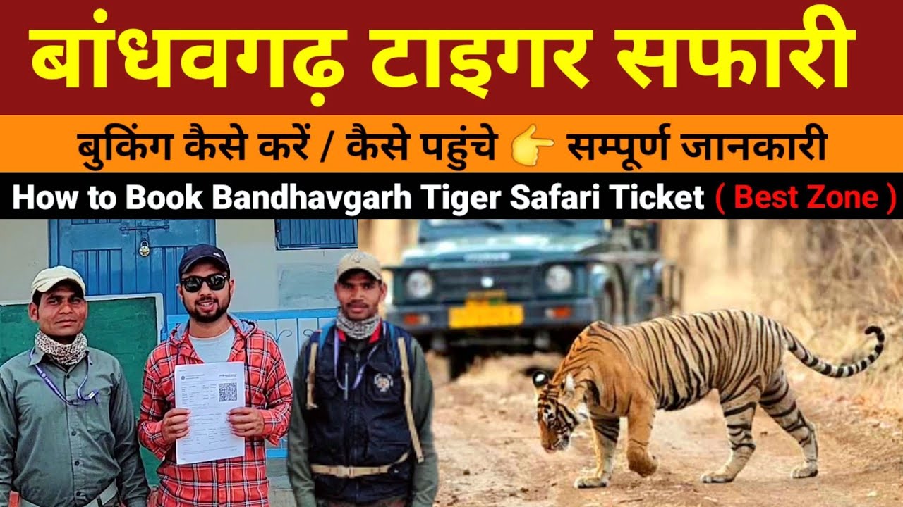 How to book Bandhavgarh Tiger safari online | Best zone in Bandhavgarh National Park Complete Guide
