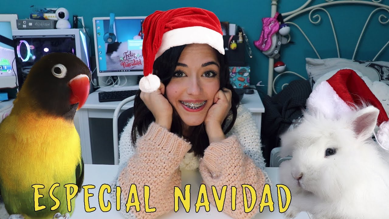 ¡ESPECIAL NAVIDAD!- Agapornis, ninfas, conejos y petauros