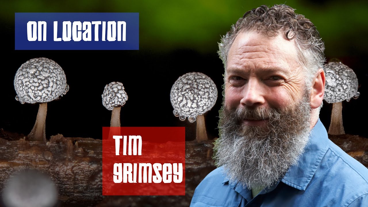 Tim Grimsey: the art of Macro Photography. On Location.