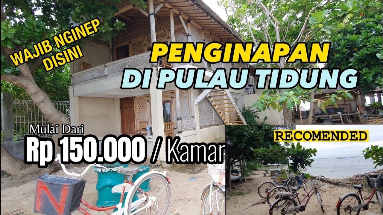MURAH BANGET WOY‼️ HOMESTAY PULAU TIDUNG KEPULAUAN SERIBU