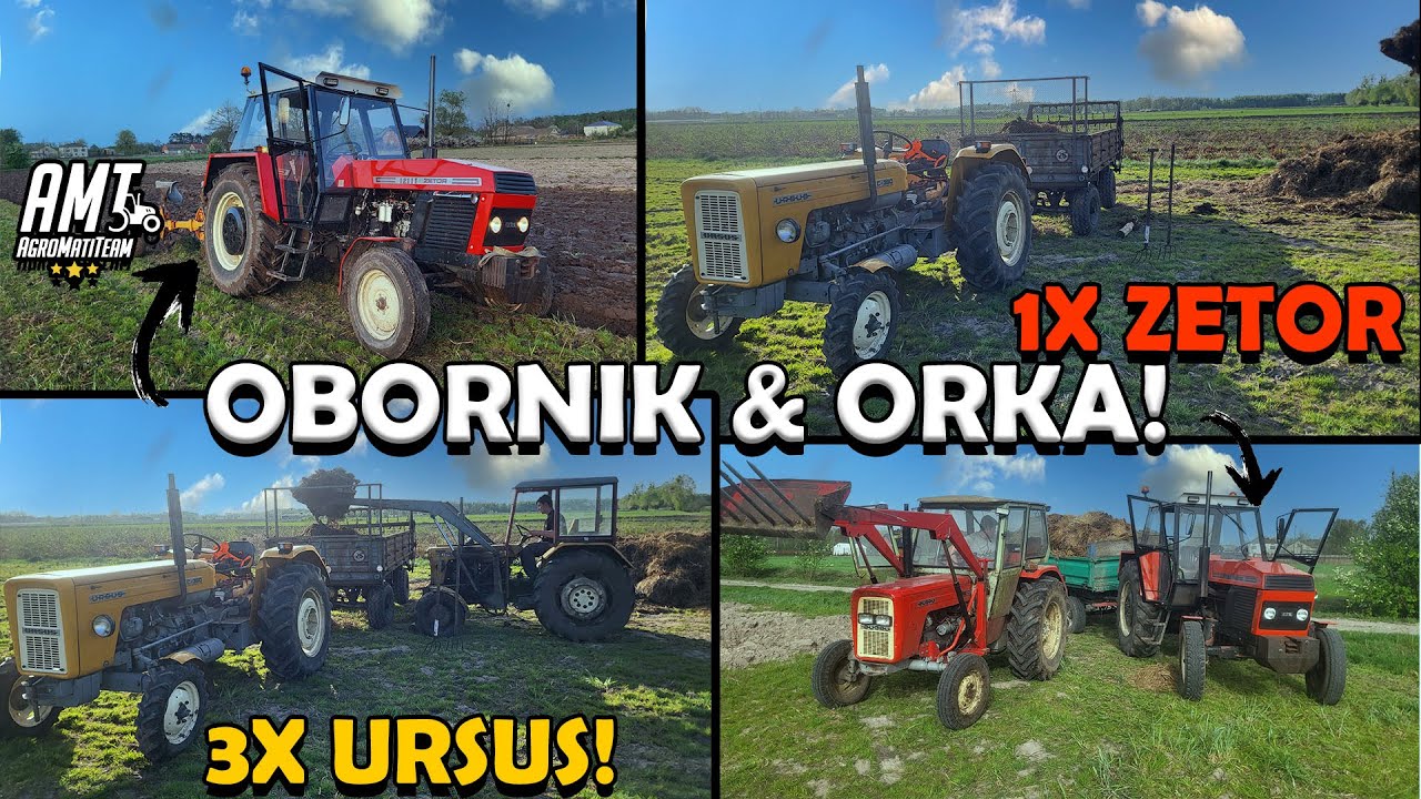 ☆Wozimy Obornik Ze Stadniny!😱ZETOR VS 2 przyczepy!🔥Rozrzucanie & Orka!🔥