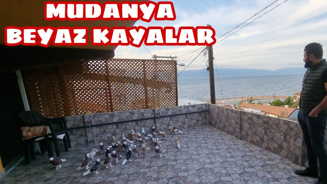 SADECE ^^ ALA GÜVERCİN ^^ KEYFİ  DENİZ MANZARASINDA KUŞ UÇURDUK YİNE KAÇIRDIK