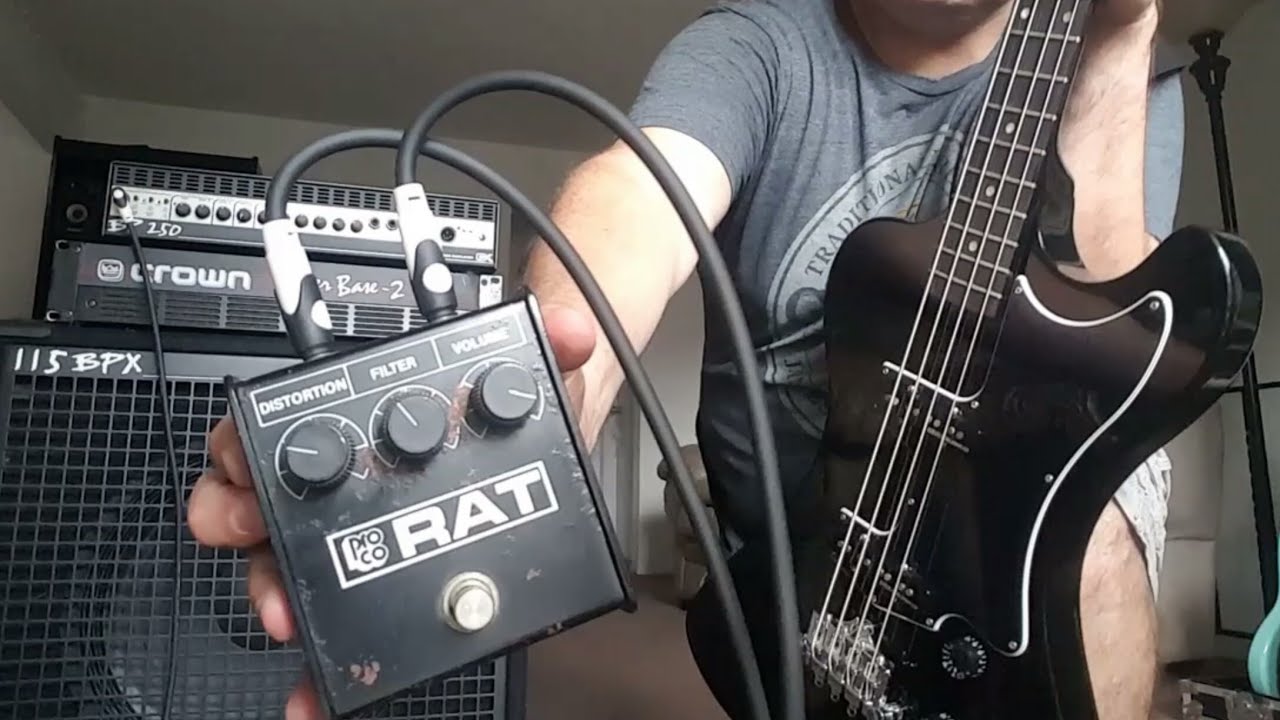 KRIST NOVOSELIC ProCo RAT 1986 SETTING (ESPAÑOL & ENGLISH VIDEO) #nirvanalive #procorat #gibson