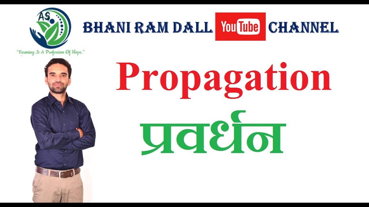 Propagation in Plants-III/पादपों में प्रवर्धन-III, IBPS AFO, कृषि पर्यवेक्षक