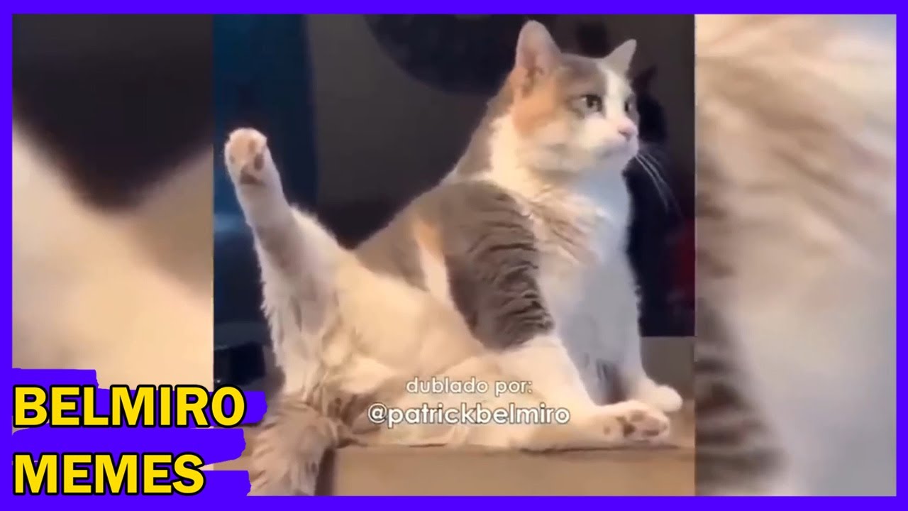 Belmiro Memes: Melhores dublagens do ano parte 3