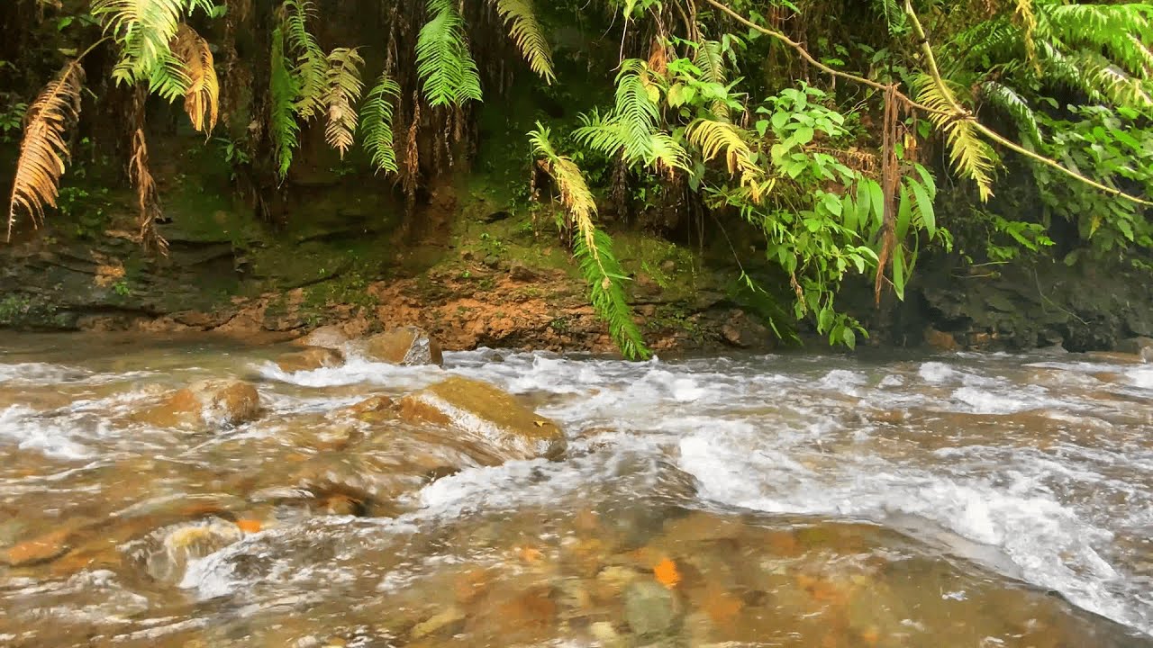 Fall Asleep Fast with River ASMR | Natural Water Sounds for Deep Sleep & Calm