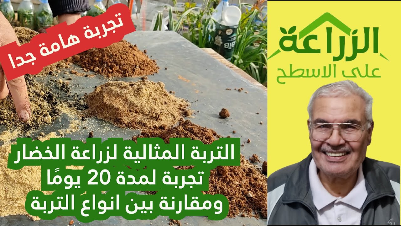 تجربة هامة جدا، التربة المثالية لزراعة الخضار تجربة لمدة 20 يوما ومقارنة بين انواع التربة