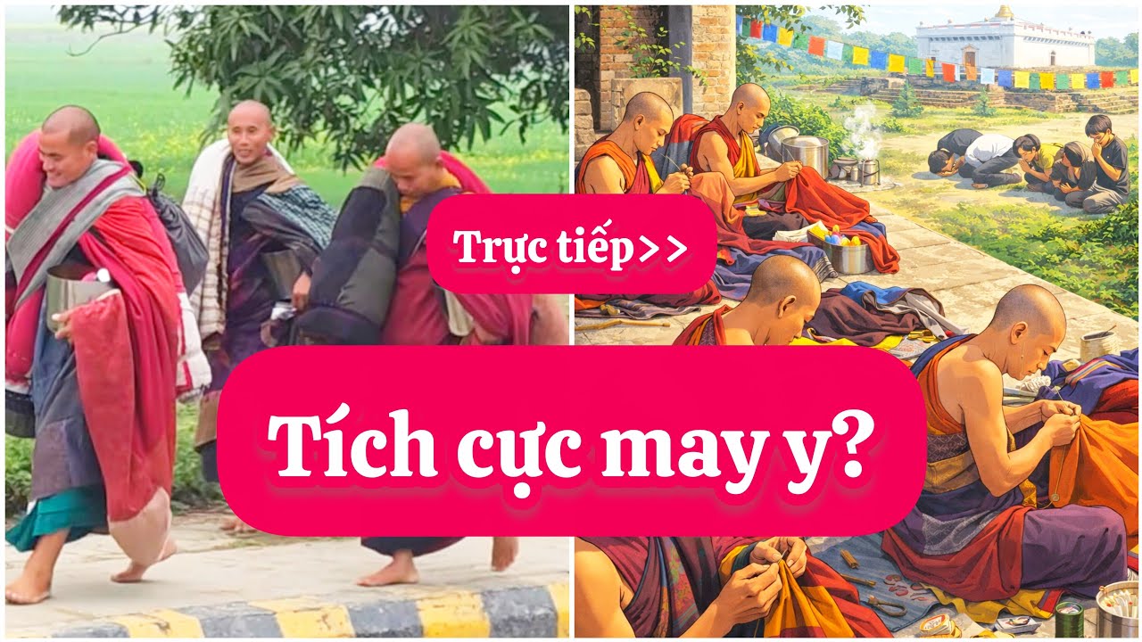 Trực tiếp: Đoàn đang tích cực may y để làm gì?🍓🥦🥑 #tructiepsuminhtue #suminhtue #minhtue #minhtuemoi