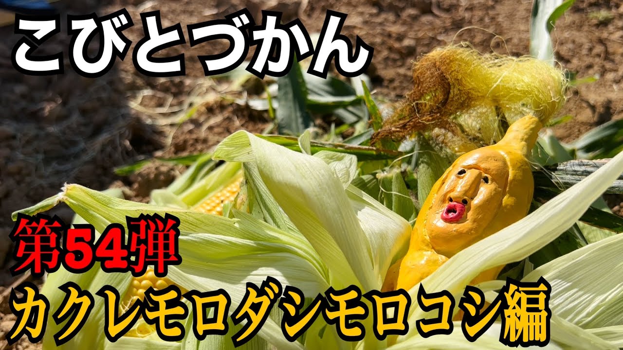【こびとづかん】カクレモロダシモロコシ見つけるまで帰れま10！！！