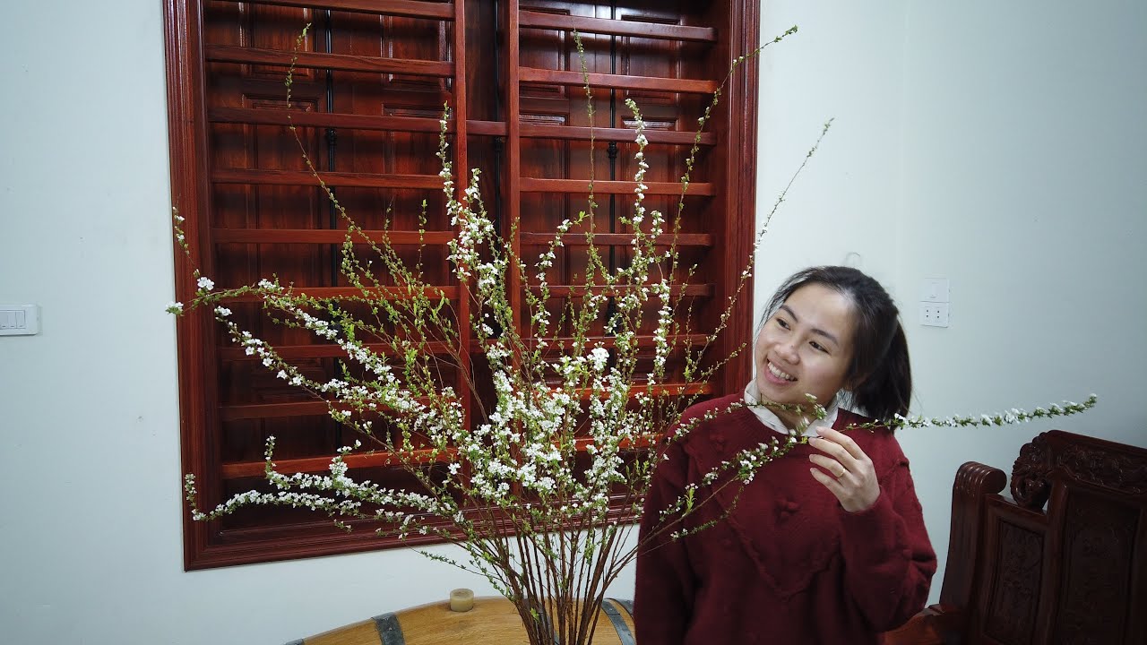 Hướng dẫn cách cắm hoa tuyết mai tươi lâu