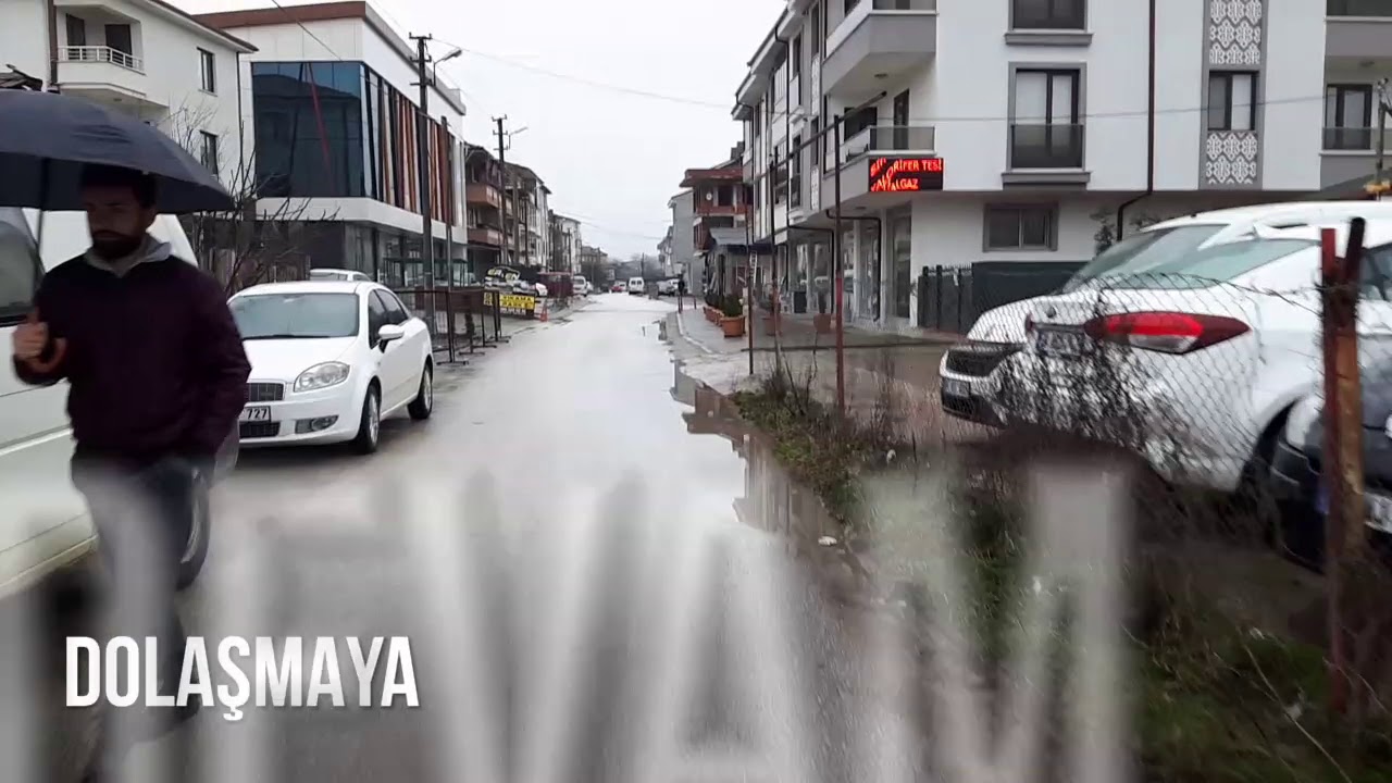 Yeşil Düzce 81