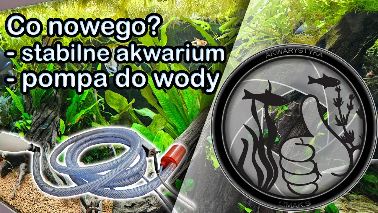 Stabilizacja w akwarium I Podmiana wody - pompka do czystej wody 12v