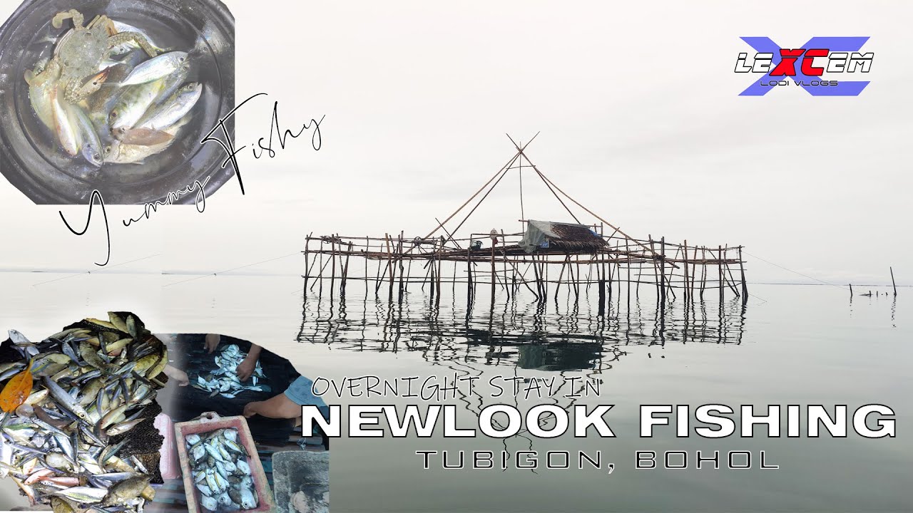 FISHING BUSINESS | NEWLOOK FISHING | Tubigon, Bohol, Philippines