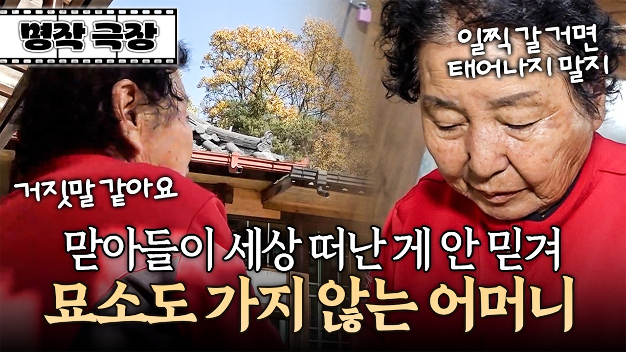 며느리와 아이들을 남겨놓고 아들이 일찍 세상을 떠난 것을 믿고 싶지 않은 어머니 | 사노라면 명작극장 666-2