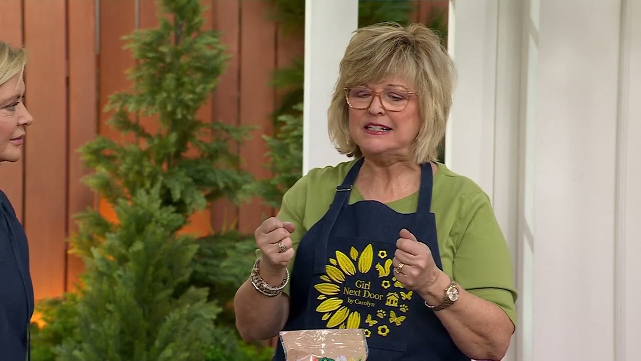 Girl Next Door 1-Piece Sorbet Peonies Bare Root Plants on QVC