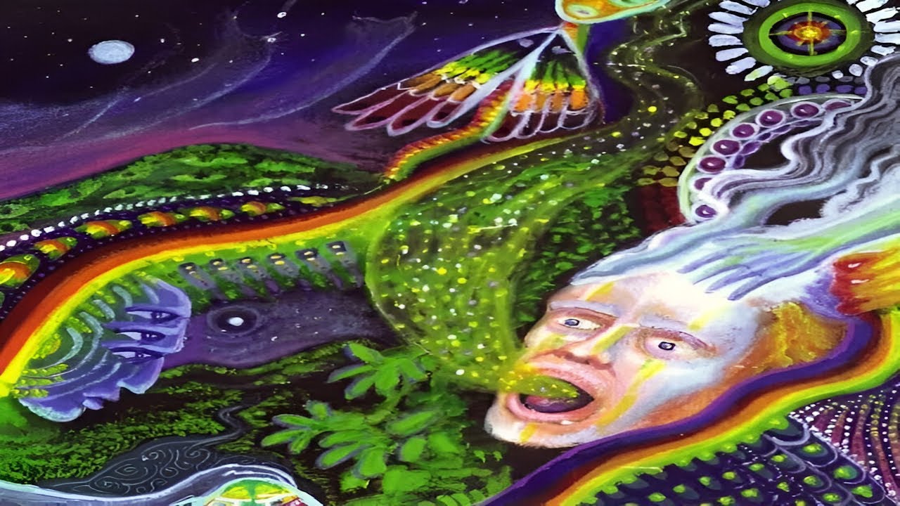 The Most Insane Magic Truffle Trips of All-Time