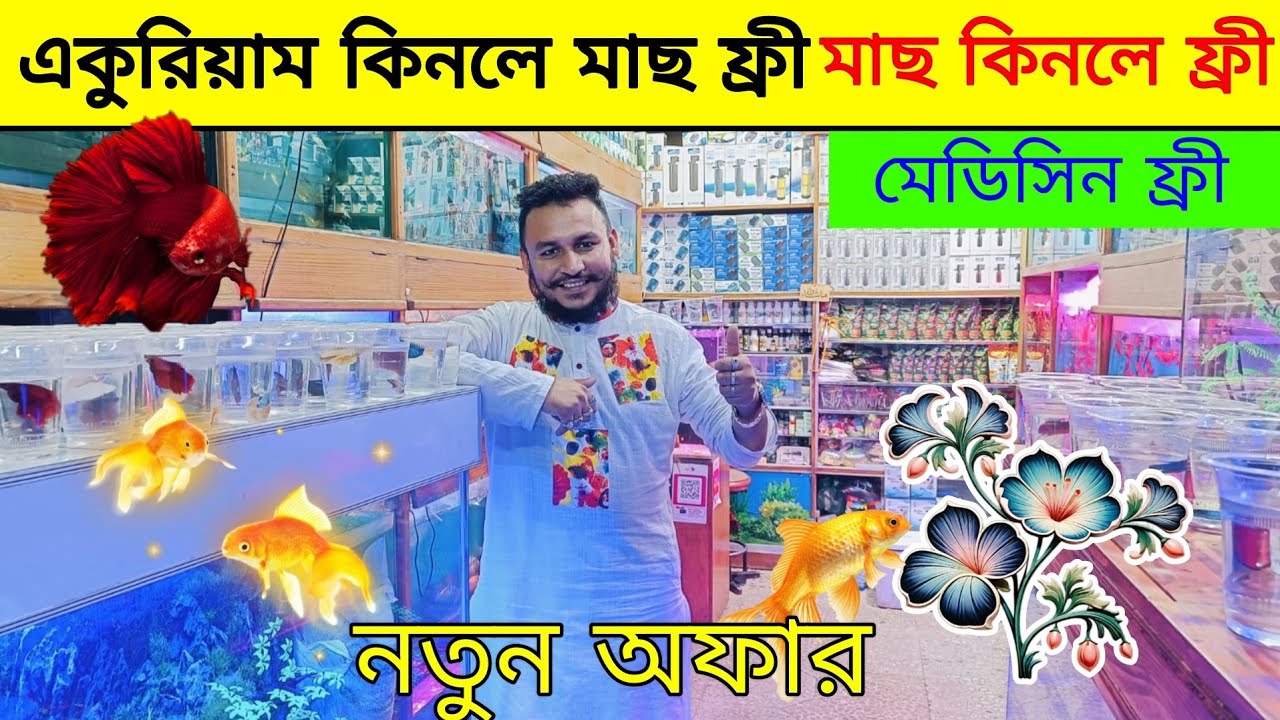 Aquarium Price In Bangladesh🐠Aquarium Fish Price In Bangladesh 2025😱 Aquarium Fish Price In katabon