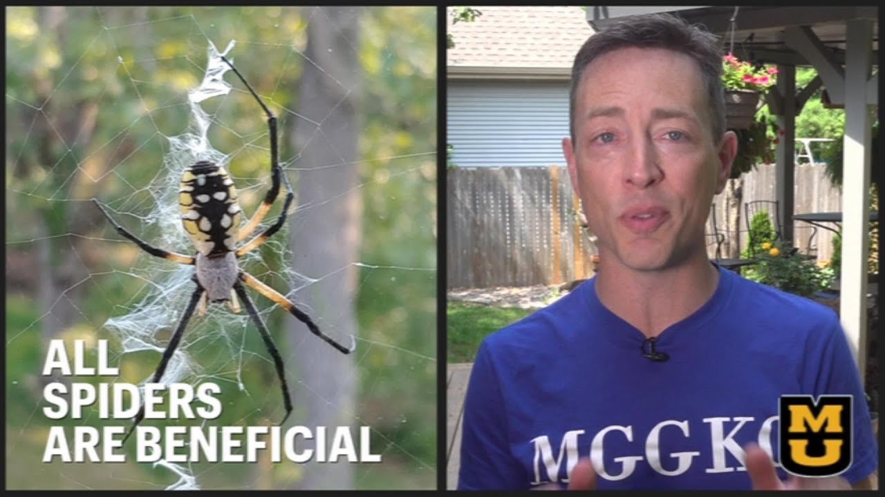 IPM - Know the Beneficials
