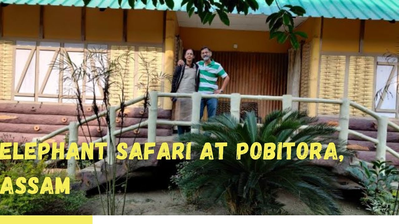 Trip to Pobitora National Park, Assam