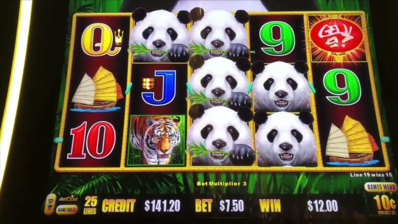 Dragon Link Slot Machine 🐉🔗🎰| Panda Magic Casino Session 🐼✨