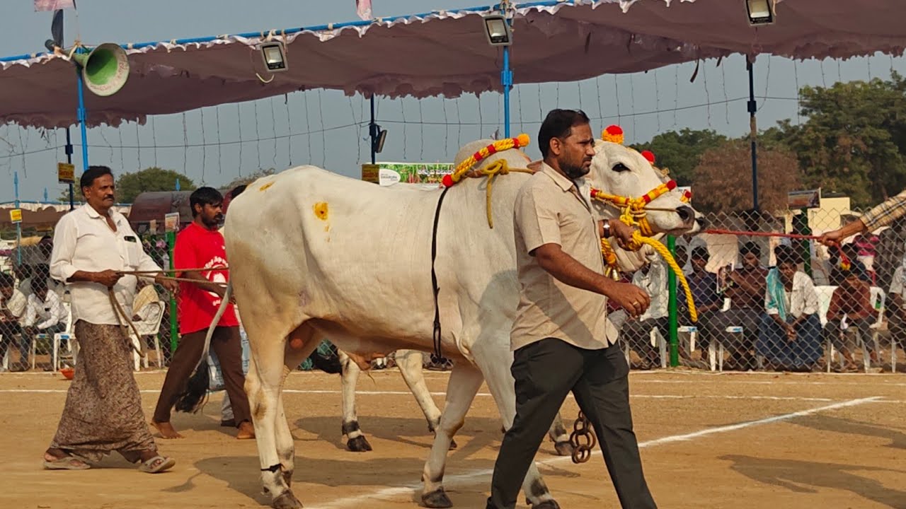 రెంటచింతల 2 పళ్ళు 9వ