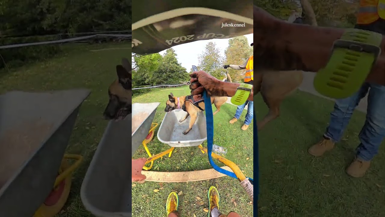 K9 Biathlon avec Mia 🚀 