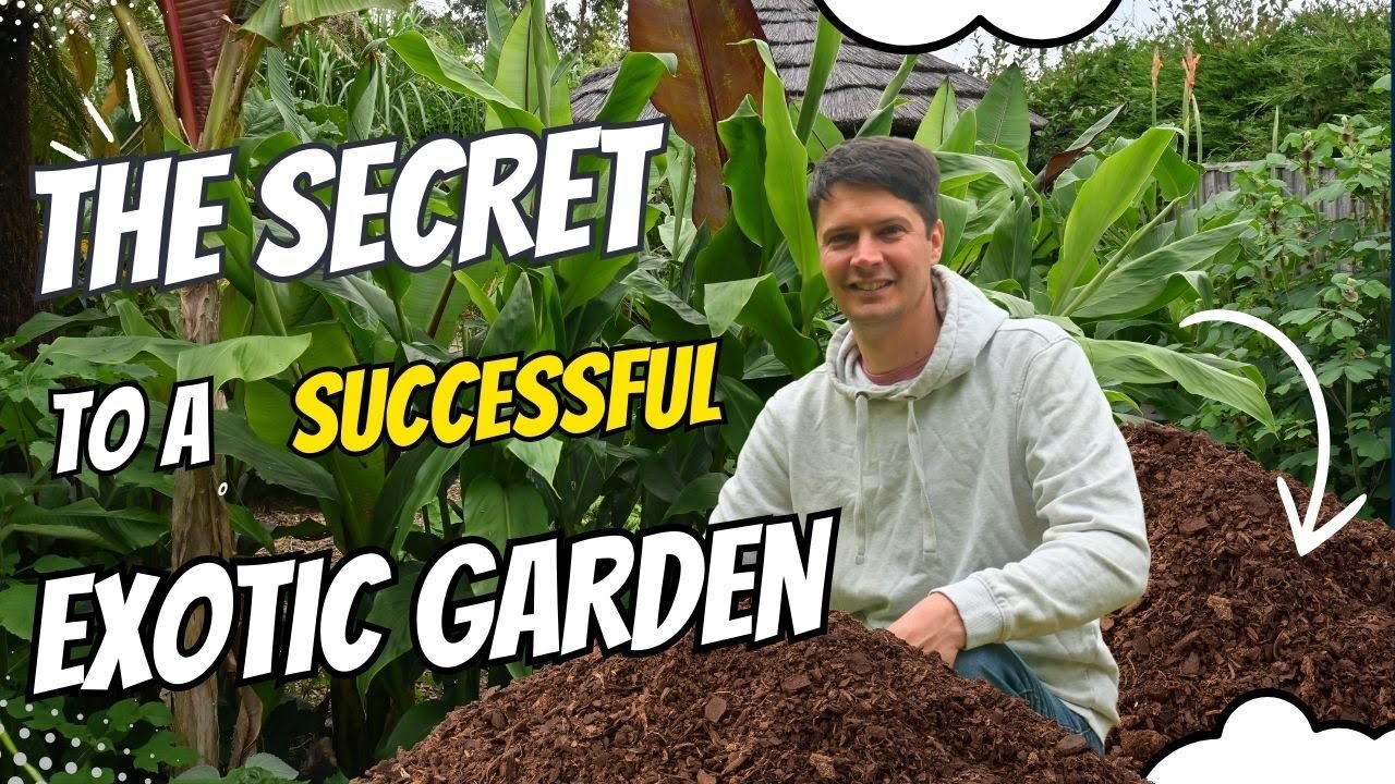 Why getting the soil right is essential for a healthy exotic garden