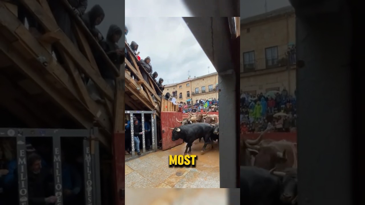 How to Start a Bull Run!