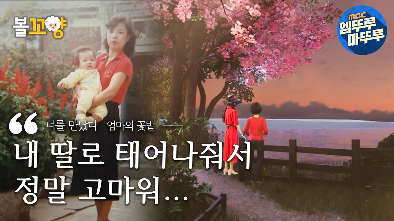 [너를 만났다 엄마의 꽃밭] 내 딸로 태어나줘서 정말 고마워... #엠뚜루마뚜루 #볼꼬양 MBC220513방송