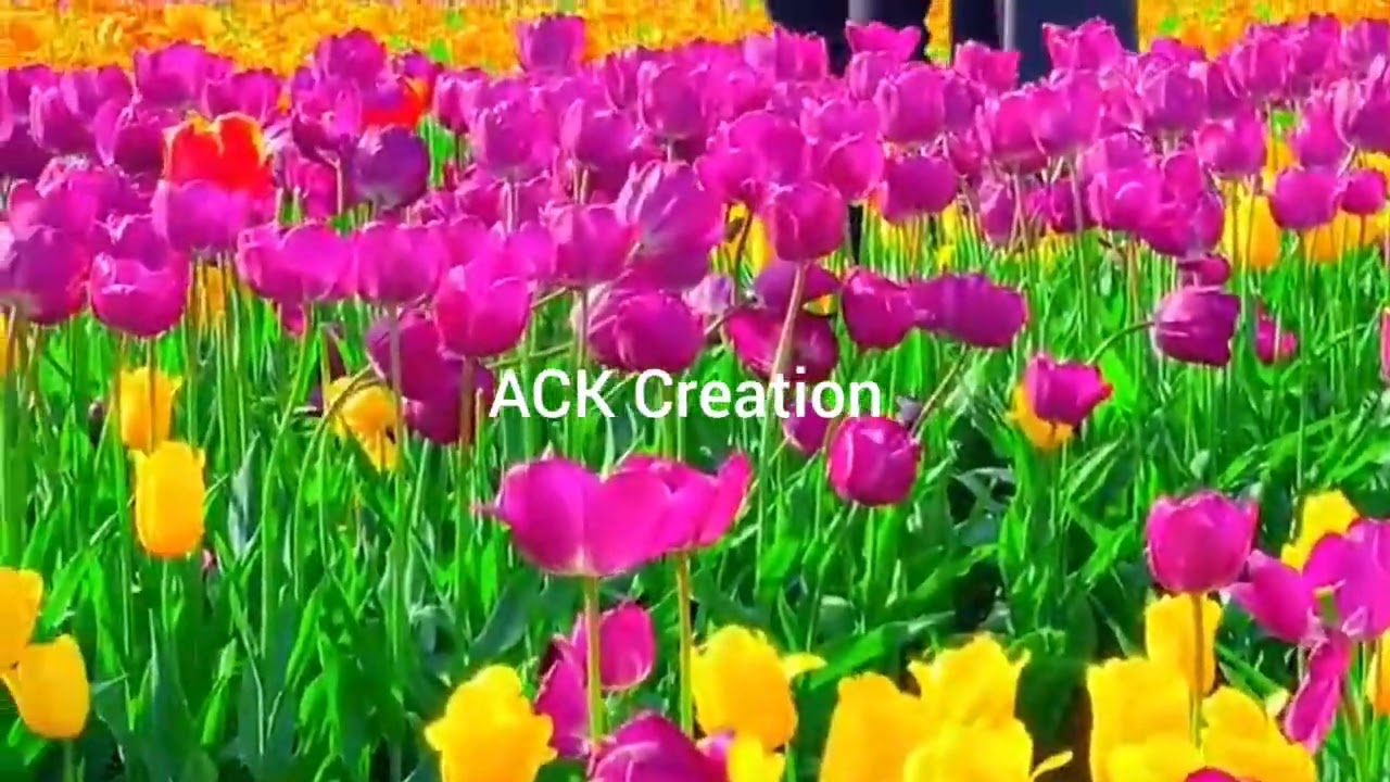 Beauty of nature 