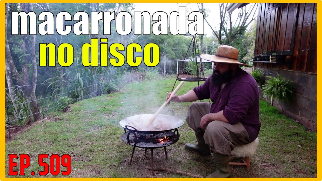 macarrão com frango no disco de arado