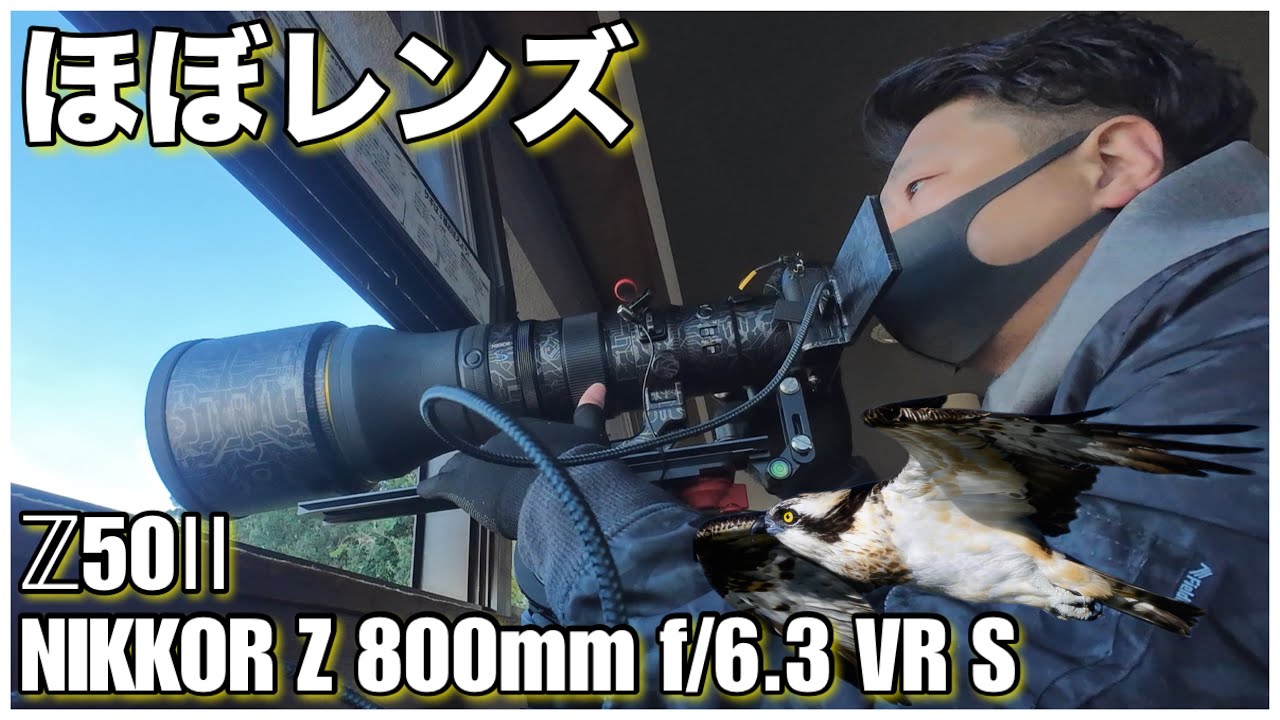 【野鳥撮影】見た目「ほぼレンズ」で鳥撮り！- Z50Ⅱ × NIKKOR Z 800mm f/6.3 VR S -