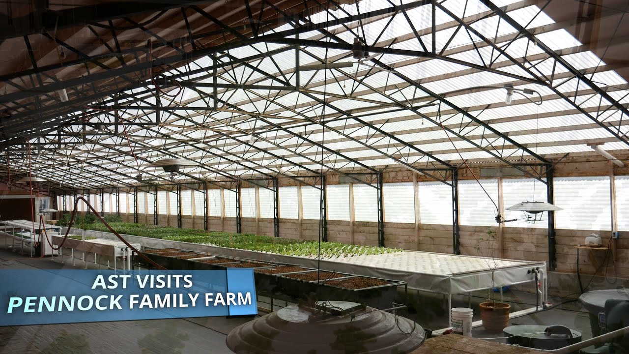 Large Decoupled Aquaponics at Pennock Family Farm: Using Mineralization to produce Healthy Plants!