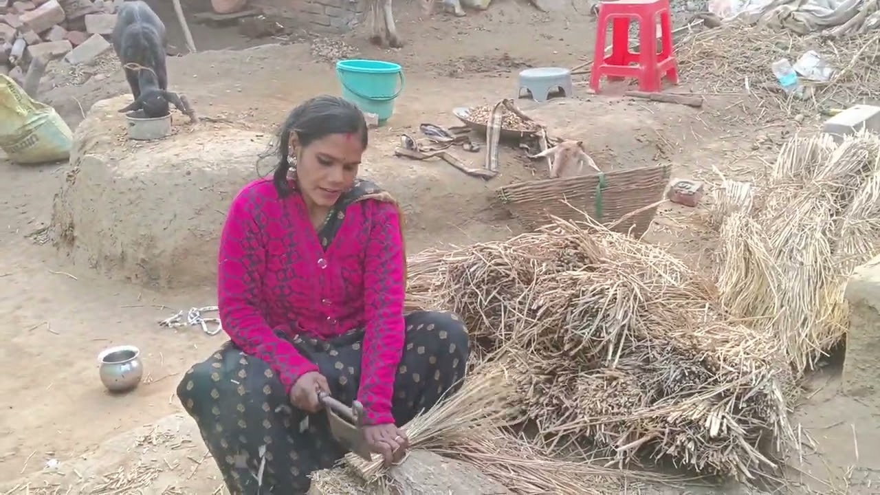 निरहुआ का फिल्म