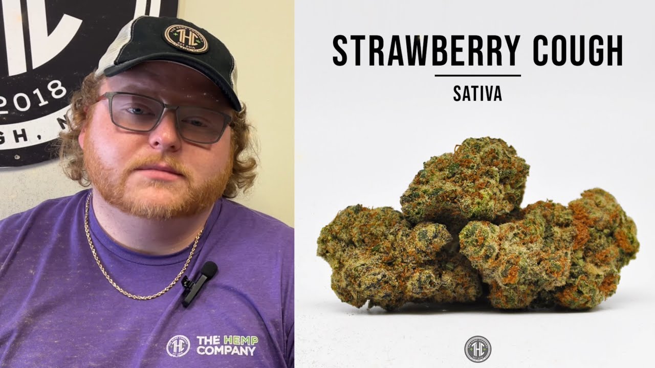 Strawberry Cough Strain Breakdown: Your Perfect Day-Time Energy Boost?