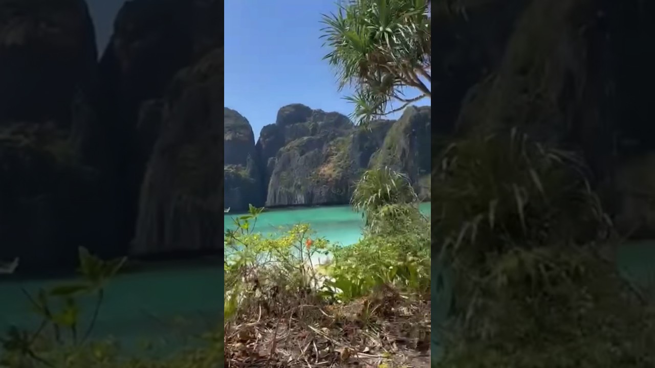 Let go phi phi island in Phuket Thailand #kophiphi #monkeybeach #phuket #vikingcave 🇹🇭🇹🇭