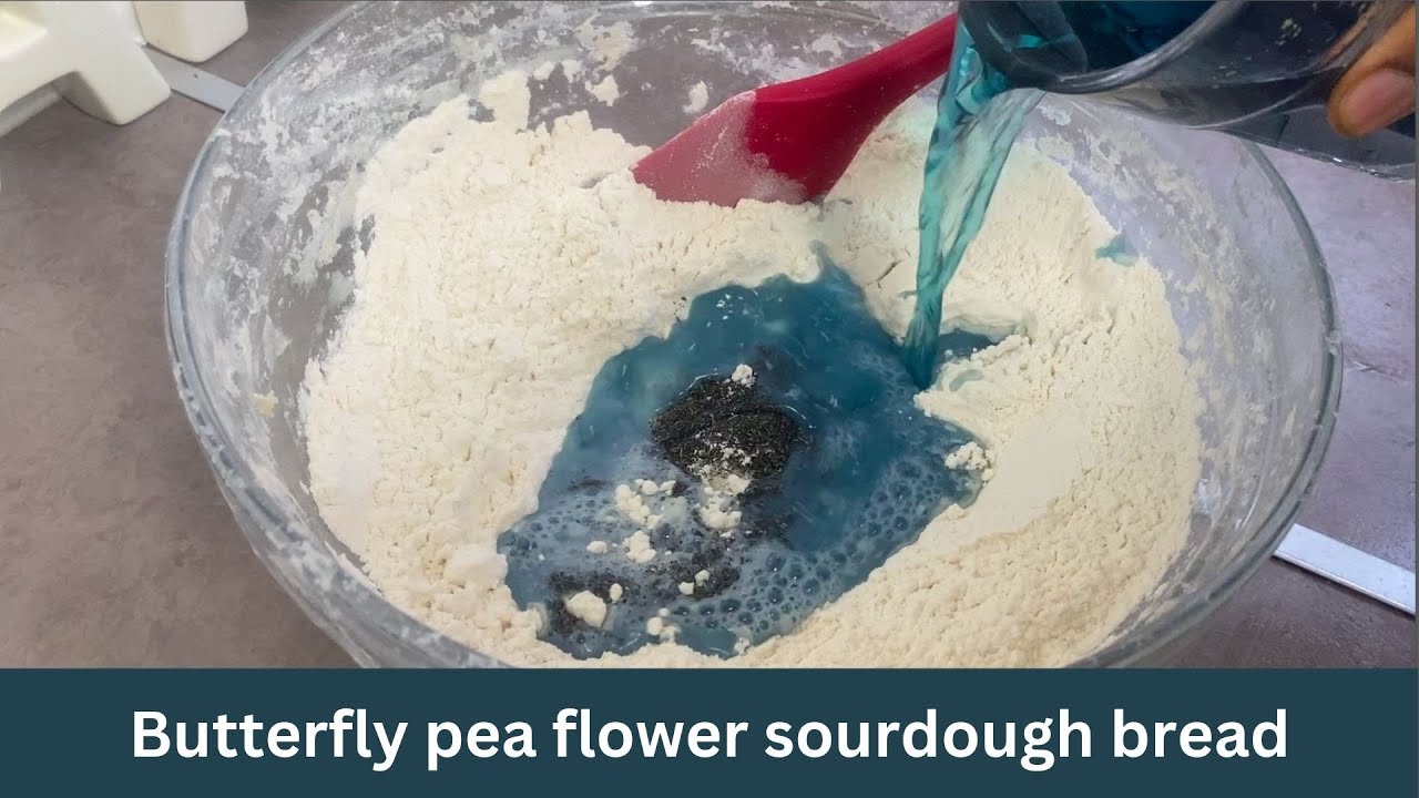 Natural blue food colour : Butterfly pea flower sourdough bread :How to make marbled sourdough bread