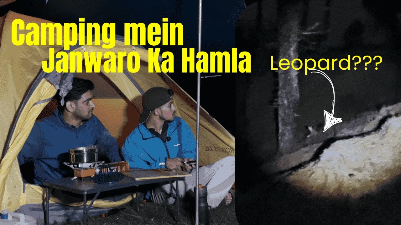 Is that a Leopard or a Jackal? | Monsoon Camping in Mountains |   #camping #leopard #uttarakhand 