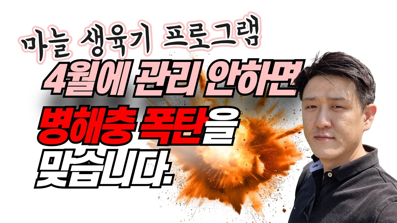마늘 농사 성패는 '이 시기'에 결정됩니다! 3월말 4월달 생육기 병해충 관리 및 광합성