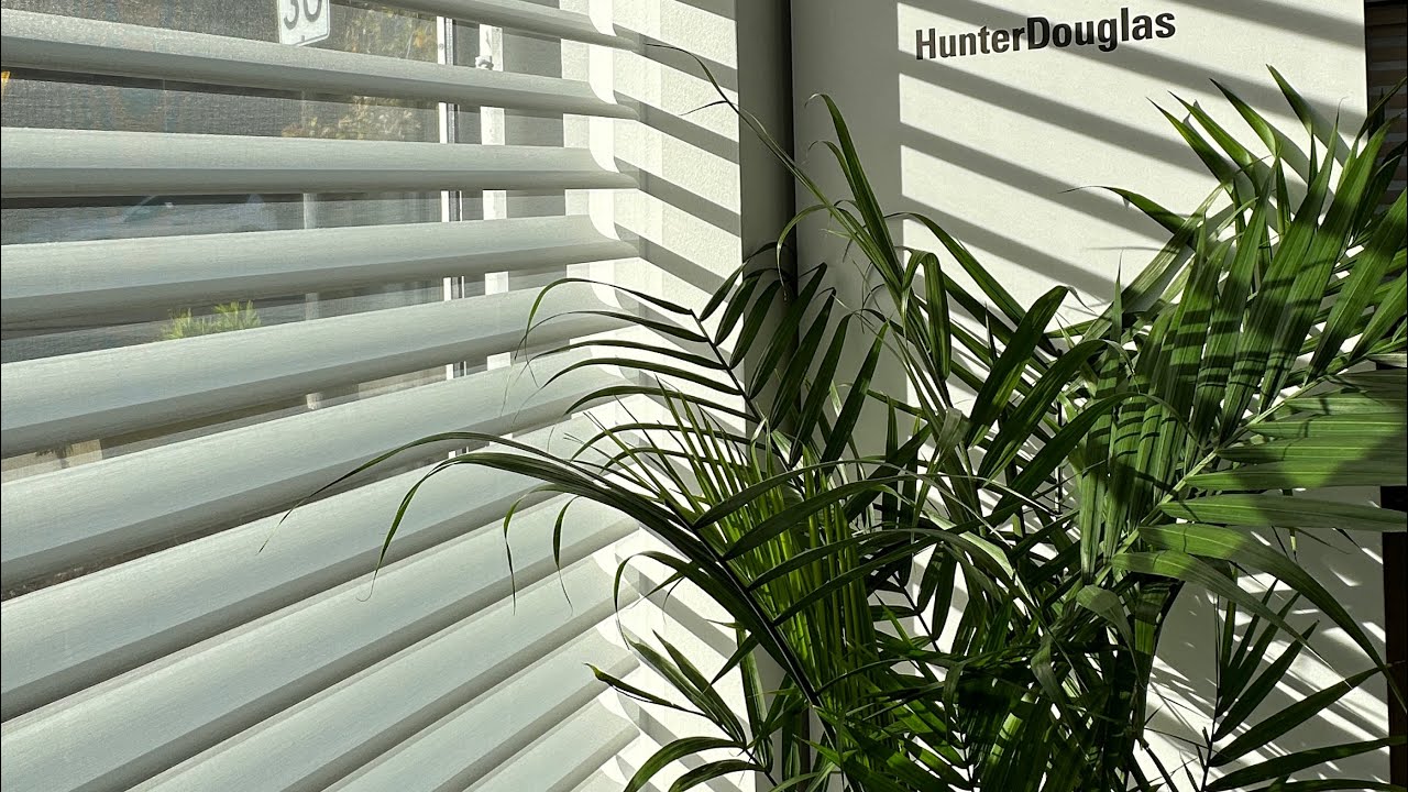 Silhouette Halo- New window shade style