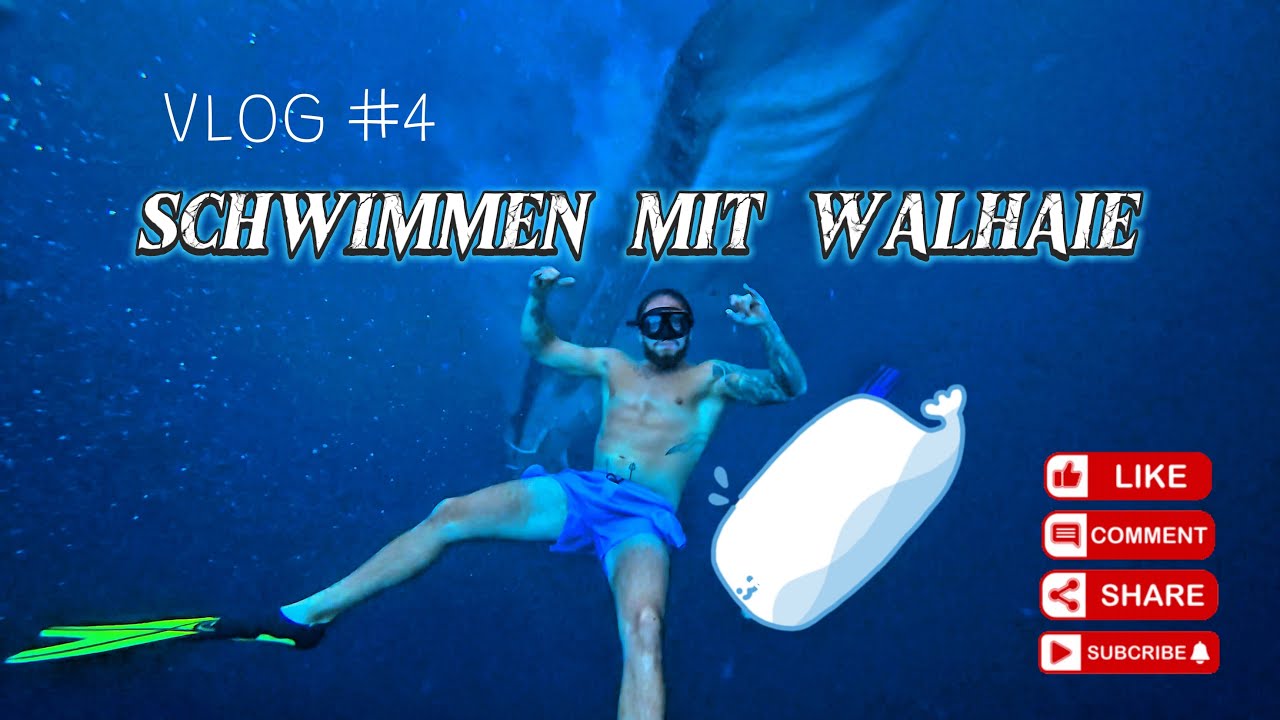 Mit RIESIGEN WALHAIEN geschwommen und Rundflug &uuml;ber Bali &ndash; Abenteuer in Indonesien! | OLYMP VLOG #4 