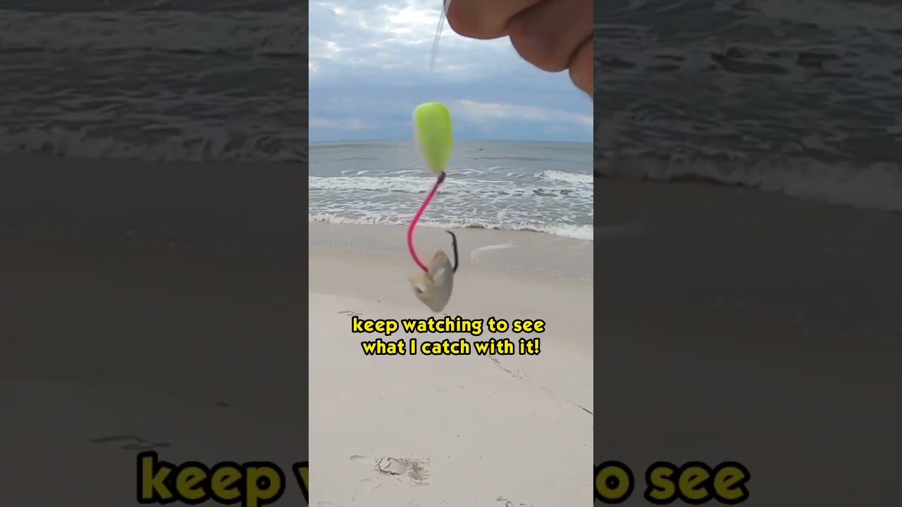 How to use sand fleas as bait! 