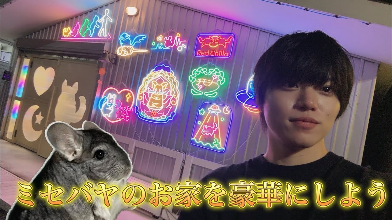 【初コラボ】ちーちゃんねるのちーさんと、チンチラ高級家具店「チラステージ」さんにお邪魔してきました！