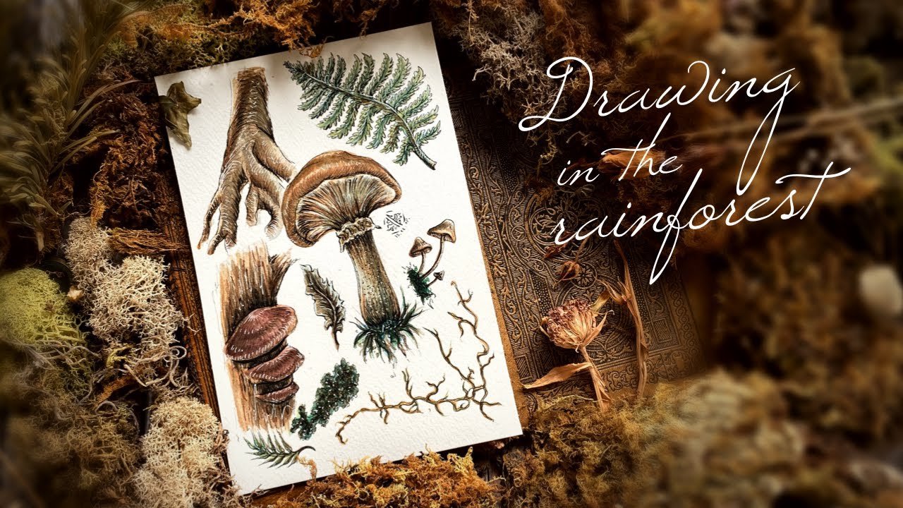 How to draw Mushroom, Fern, Moss | Watercolour , Copic markers speed drawing| Plein Air painting