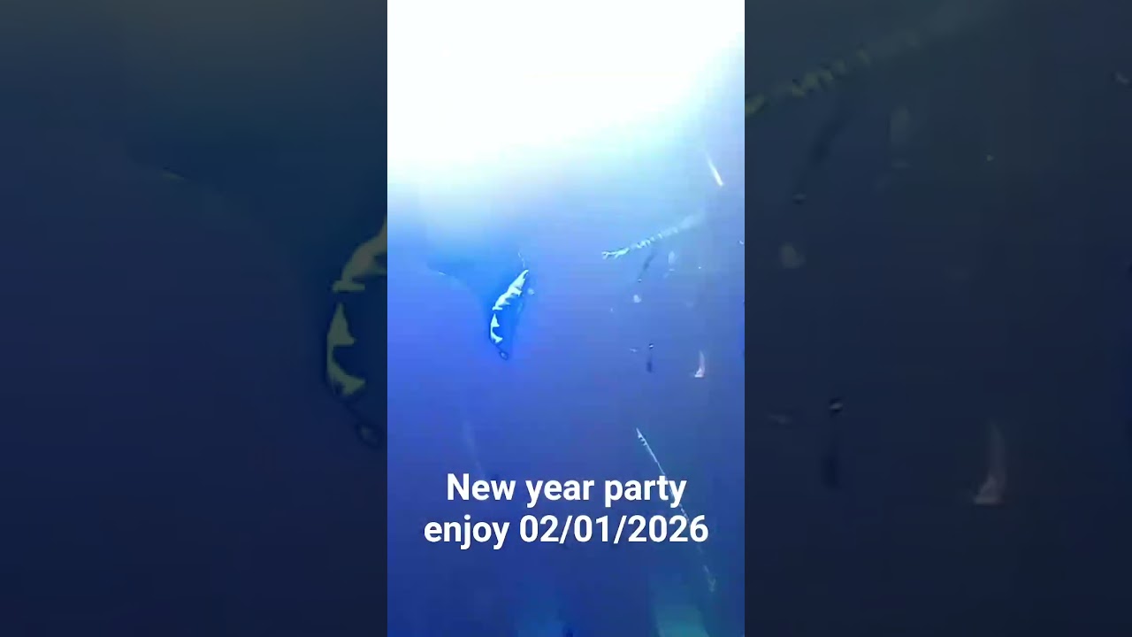 dj nk Official Nitish Rock kusmaha tola Katraun new year party enjoy